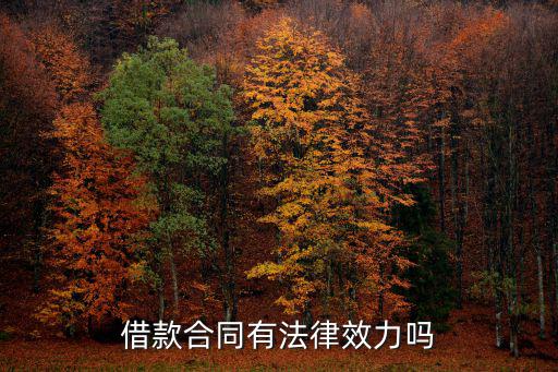借款合同有法律效力嗎