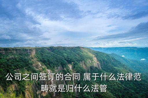 簽合同根據(jù)什么法律，簽合同遵守什么法律