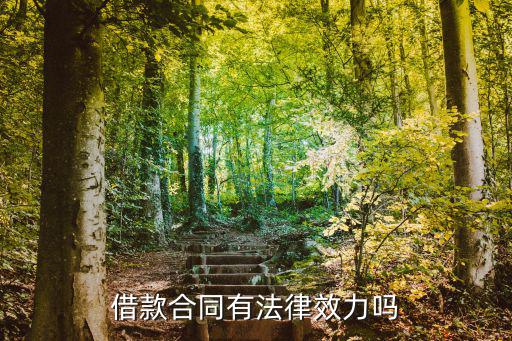 借款合同的法律效力是什么，民間借款合同有法律效力嗎