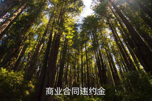 商業(yè)合同涉及什么法律，商業(yè)合同違約金