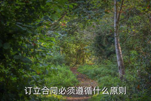 簽合同需要遵照什么法律，訂立格式合同應(yīng)遵循哪些法律規(guī)則