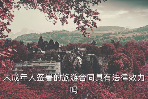 旅游合同有什么要求嗎法律，未成年人簽署的旅游合同具有法律效力嗎