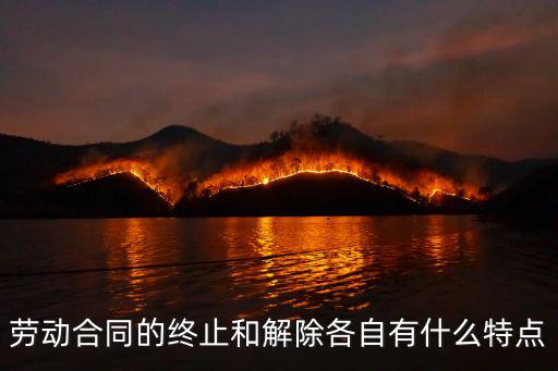 勞動(dòng)合同的終止和解除各自有什么特點(diǎn)