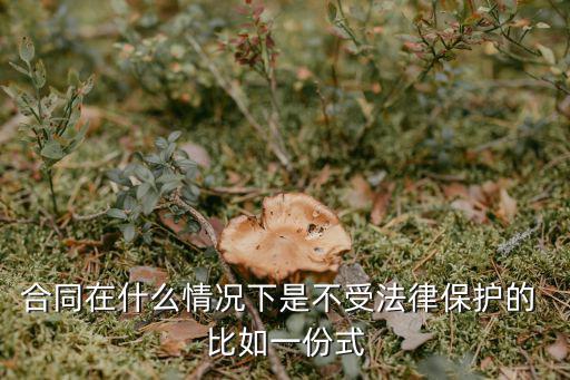 合同在什么情況下是不受法律保護(hù)的 比如一份式