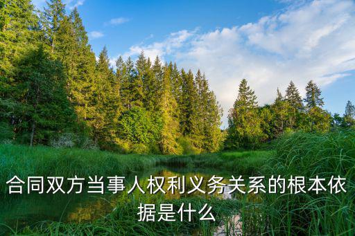 合同法律依據(jù)是什么，民事合同有法律依據(jù)嗎