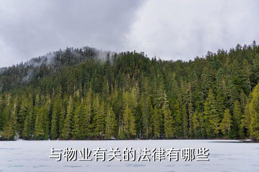 與物業(yè)有關(guān)的法律有哪些