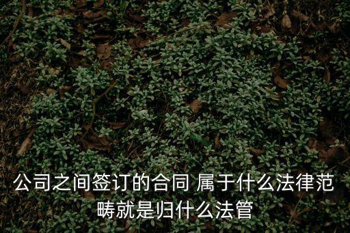 公司之間簽訂的合同 屬于什么法律范疇就是歸什么法管
