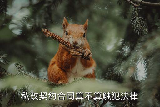 私改契約合同算不算觸犯法律