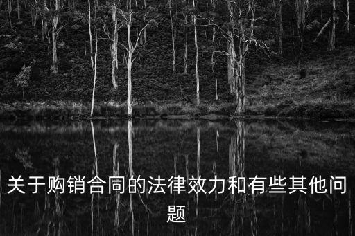 關(guān)于購(gòu)銷合同的法律效力和有些其他問(wèn)題