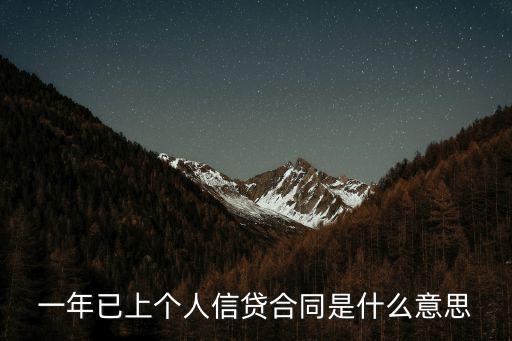 一年已上個人信貸合同是什么意思