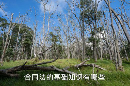 合同法的基礎知識有哪些