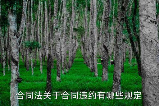 合同法關(guān)于合同違約有哪些規(guī)定