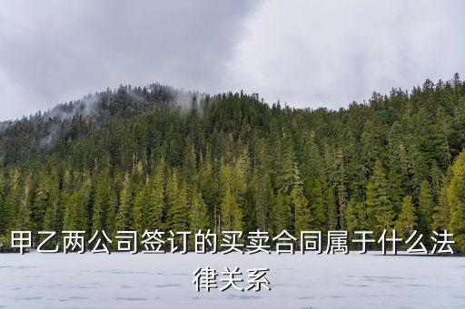 甲乙兩公司簽訂的買賣合同屬于什么法律關(guān)系