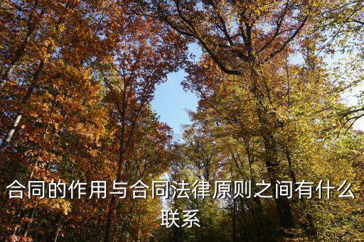 合同的作用與合同法律原則之間有什么聯(lián)系