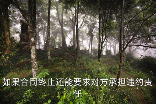 如果合同終止還能要求對(duì)方承擔(dān)違約責(zé)任