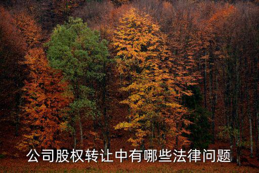 公司股權(quán)轉(zhuǎn)讓中有哪些法律問題