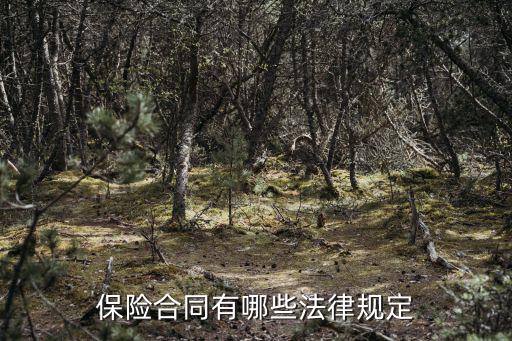 保險合同法是什么法律，簽訂保險合同要遵守哪些法律法規(guī)