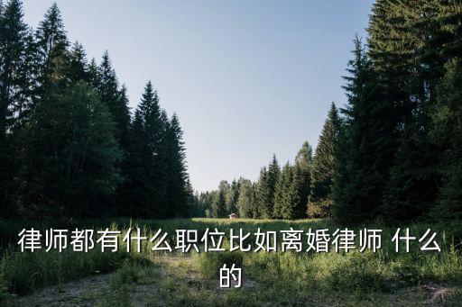 律師都有什么職位比如離婚律師 什么的