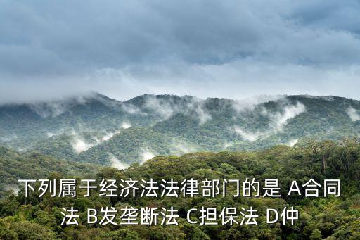 下列屬于經(jīng)濟(jì)法法律部門的是 A合同法 B發(fā)壟斷法 C擔(dān)保法 D仲