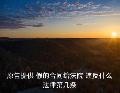 原告提供 假的合同給法院 違反什么法律第幾條
