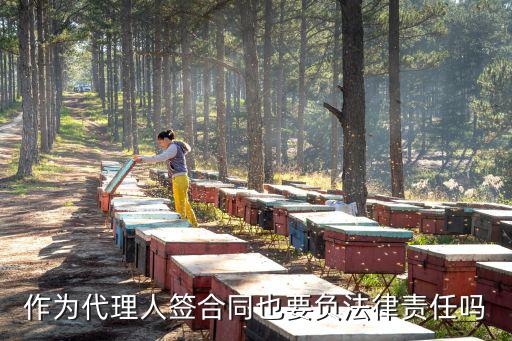 代理合同可以適用什么法律，會計代理合同違約適用什么經(jīng)濟法律