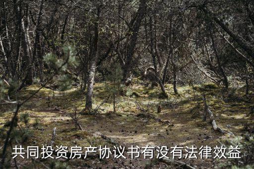 投資合同的法律效益是什么，什么樣的合同具有法律效應(yīng)