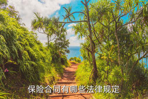 保險(xiǎn)合同適用什么法律，保險(xiǎn)合同糾紛適用于消費(fèi)者權(quán)益保護(hù)法嗎