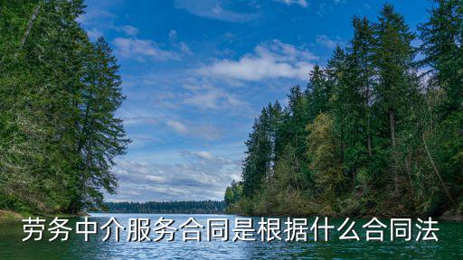 勞務(wù)中介服務(wù)合同是根據(jù)什么合同法