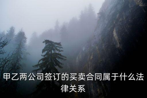 甲乙兩公司簽訂的買賣合同屬于什么法律關(guān)系