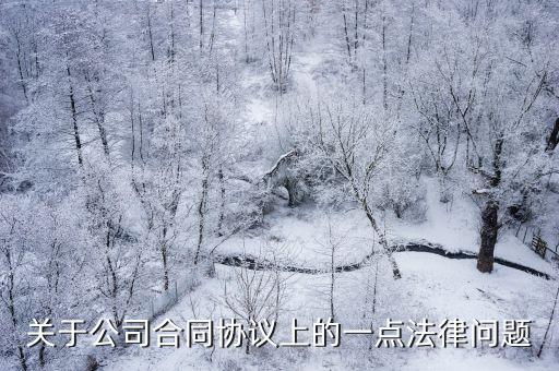 關(guān)于公司合同協(xié)議上的一點(diǎn)法律問題