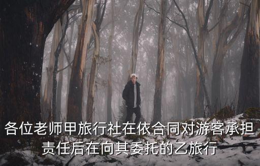 旅游合同適用什么法律，旅游合同合同當(dāng)事人雙方的權(quán)利義務(wù)是什么