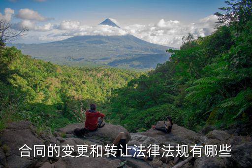 合同轉(zhuǎn)移的條款是什么法律，合同變更在法律上是怎么規(guī)定的