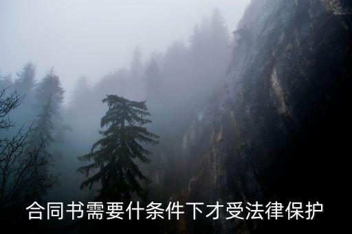 合同書需要什條件下才受法律保護