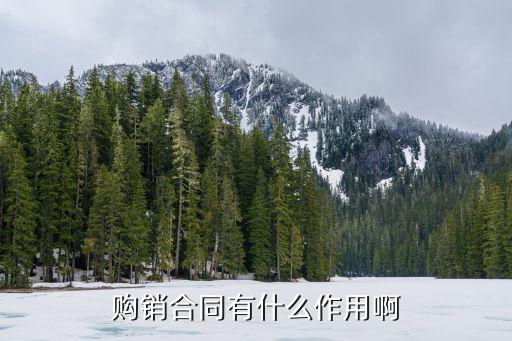 購(gòu)銷合同有什么作用啊