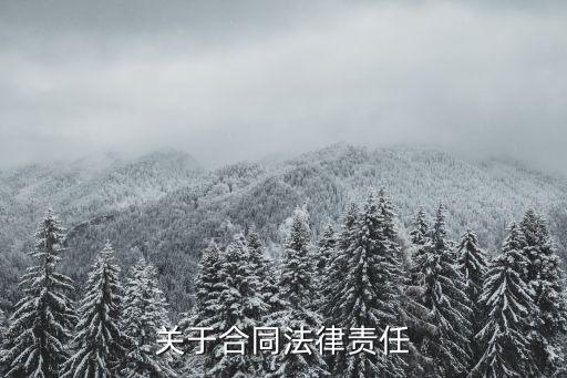 私人合同的法律責(zé)任是什么，關(guān)于合同法律責(zé)任