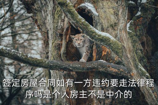 合同違約要走什么法律程序，簽定房屋合同如有一方違約要走法律程序嗎是個(gè)人房主不是中介的