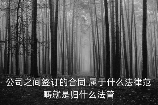 公司之間簽訂的合同 屬于什么法律范疇就是歸什么法管