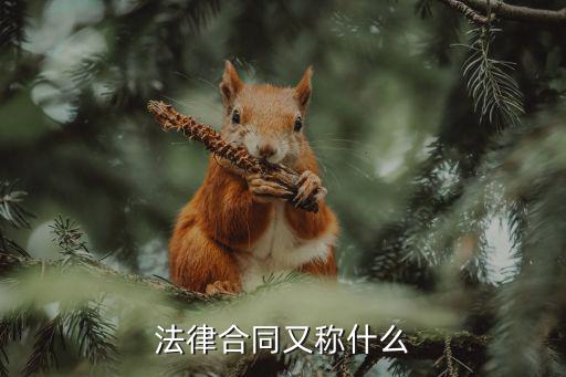 合同的法律叫什么，法律合同又稱什么