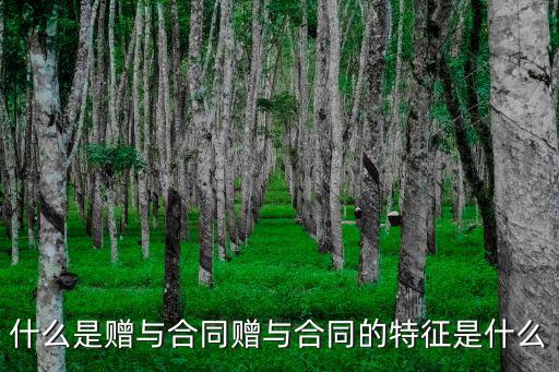 什么是贈與合同贈與合同的特征是什么