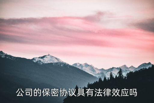 公司的保密協(xié)議具有法律效應(yīng)嗎