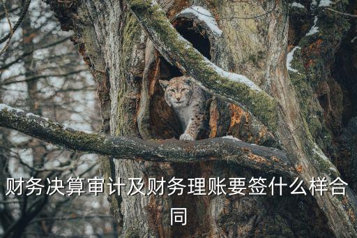 法律會計審計屬于什么合同，財務(wù)決算審計及財務(wù)理賬要簽什么樣合同