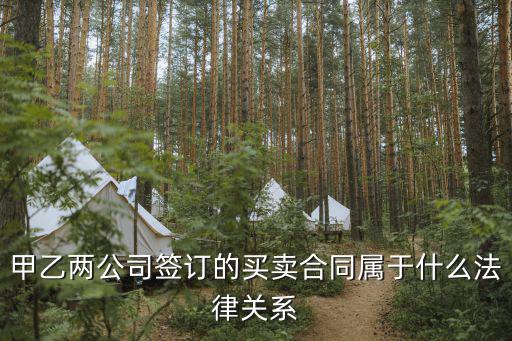 法律合同關(guān)系屬于什么，甲乙兩公司簽訂的買賣合同屬于什么法律關(guān)系