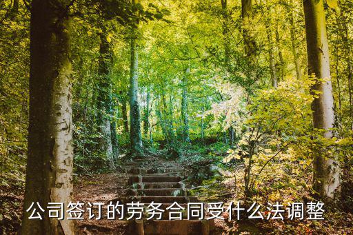 公司簽訂的勞務(wù)合同受什么法調(diào)整
