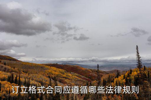 訂立格式合同應(yīng)遵循哪些法律規(guī)則