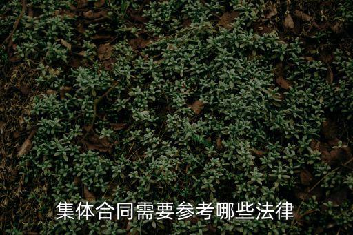 合同參照什么法律，集體合同需要參考哪些法律