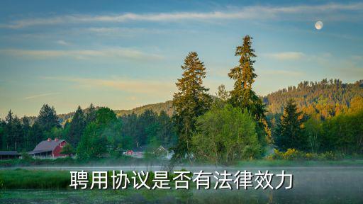 聘用合同依據(jù)什么法律，聘用合同法律保護(hù)依據(jù)與途徑