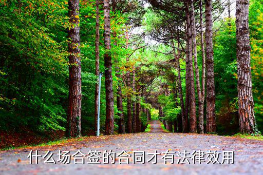 什么情況下合同有法律效果，什么場(chǎng)合簽的合同才有法律效用