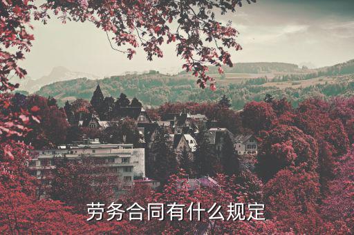 勞務(wù)合同有什么規(guī)定