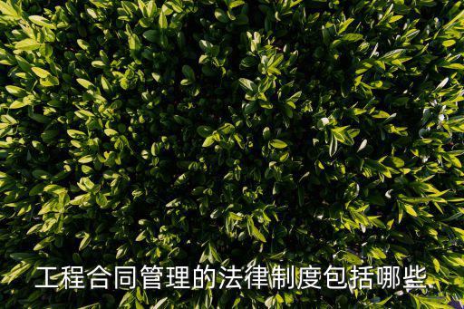 工程合同管理的法律制度包括哪些