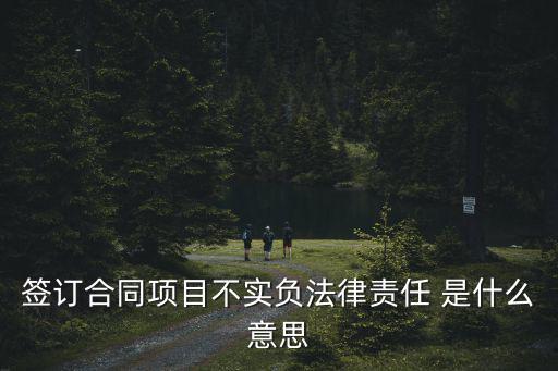 簽訂合同項目不實(shí)負(fù)法律責(zé)任 是什么意思